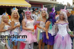 Benidorm-Fiestas-2019-Fancy-Dress-274